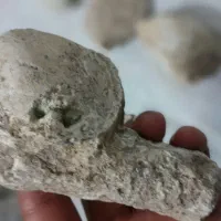 فوسیل|کلکسیون اشیاء عتیقه|زنجان, |دیوار