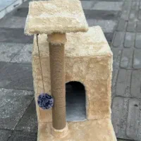 جای خواب و اسکرچر گربه|لوازم جانبی حیوانات|آستانه اشرفیه, |دیوار