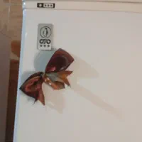 یخچال فریزر خانگی|یخچال و فریزر|شوشتر, |دیوار