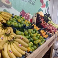 ارزانسرای میوه و تره بار بختیاری|خوردنی و آشامیدنی|فولادشهر, B7|دیوار