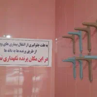 دانه فروشی  پرندگان دهلران چهاراآموزش پرورش|لوازم جانبی حیوانات|دهلران, |دیوار