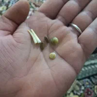 مهره قدیمی اصل