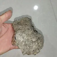 شهابسنگ|کلکسیون اشیاء عتیقه|باقرشهر, |دیوار