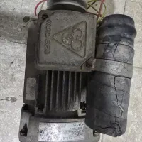 دینا م سالم