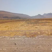 اجاره دوکشت زمین کشاورزی