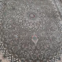 فروش فرش|فرش|قزوین, |دیوار