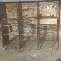 جفتگاه کفتر|لوازم جانبی حیوانات|بیرجند, |دیوار