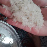 برنج درجه یک با پخت عالی فجر|خوردنی و آشامیدنی|علی‌آباد کتول, |دیوار