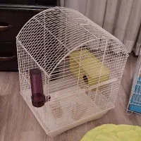 قلاده، قفس، پنجه شور