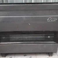 بخاری ولباشویی