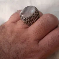 انگوشتر شجر ابری|کلکسیون اشیاء عتیقه|گرمسار, |دیوار