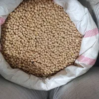 حبوبات تازه و ارگانیک محصول برداشت امسال