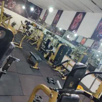 باشگاه بدنسازی درتربت حیدریه|تجهیزات ورزشی|تربت‌حیدریه, پائین ولایت|دیوار