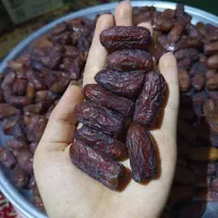 بهترین کشتی پیارم