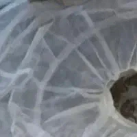 لباس عقد|لباس|تهران, نصرت|دیوار