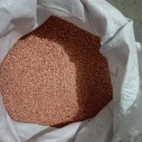 گندم دیم سم پاشی شده