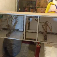 قفس پرنده قیمت ۱۶۰۰