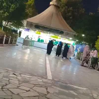 فردا حرکت مشهد مقدس|تور و چارتر|بندرعباس, |دیوار