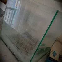 اکواریوم مکعبی  .  مربعی، در دار