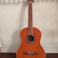 گیتار پارسی M6 نو