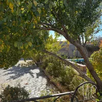 باغ|فروش خانه و ویلا|خواجه, |دیوار