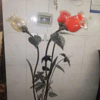 اباژور ایستاده