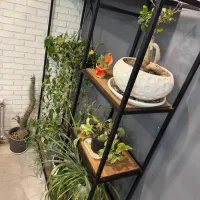 استند مناسب گل،دکور بوتیک و لباس و دکوراتیو مغازه|فروشگاه و مغازه|پرند, فاز ۶|دیوار