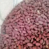 لوبیا قرمز  درجه یک به شرط|خوردنی و آشامیدنی|شیراز, رکن‌آباد|دیوار