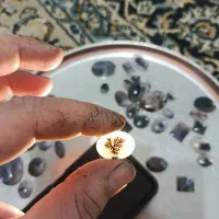 بارخانه سنگ شجر