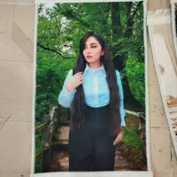 تابلو فرش پاریس|تابلو فرش|سنندج, |دیوار