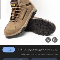 کفش 313