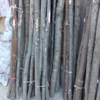 چوب|عمدهفروشی|تهران, تسلیحات|دیوار