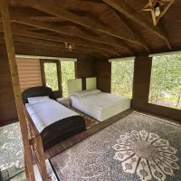 ویلای چوبی تو دل جنگل سرسبز