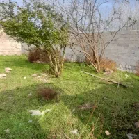 فروش زمین مسکونی ۶۰۰متری با بنای قدیمی|فروش زمین و ملک کلنگی|آستانه اشرفیه, |دیوار