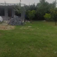 فروش فوری زمین شرایطی|فروش زمین و ملک کلنگی|گلوگاه بابل (گلیا), |دیوار