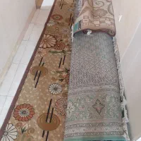 فرش|فرش|بندرعباس, |دیوار