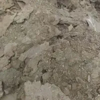 فروش کود مرغ سالنی