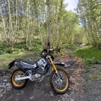 تور یه روزه با موتور