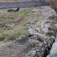 زمین ساختمانی و باغی