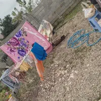 ۳۰۰متر زمین ۶۸متر بنا قیمت ۳ملیارد|فروش خانه و ویلا|نشتارود, |دیوار