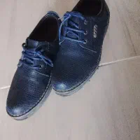 کفش|کیف، کفش، کمربند|ارومیه, |دیوار