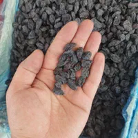 مویز بی هسته ازبک|خوردنی و آشامیدنی|اصفهان, وحید|دیوار