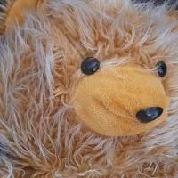 عروسک خرس|اسباببازی|شاهرود, |دیوار