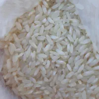 برنج چمپا چیتاب