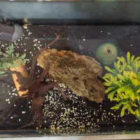 آکواریوم ۶۰ ایتری شیشه خم