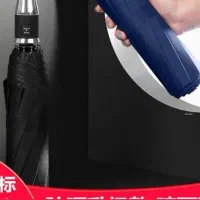 چتر بارانی تک و عمده|لباس|آستارا, |دیوار
