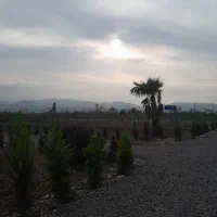 زمین-سرمایه-گذاری-قابل-ساخت-اقساط-بلند-مدت