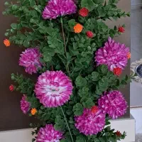 تعدادی وسایل|حراج|روانسر, |دیوار