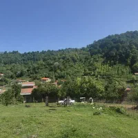فروش فوری زمین جاده آبشار