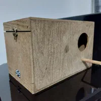لانه پرنده